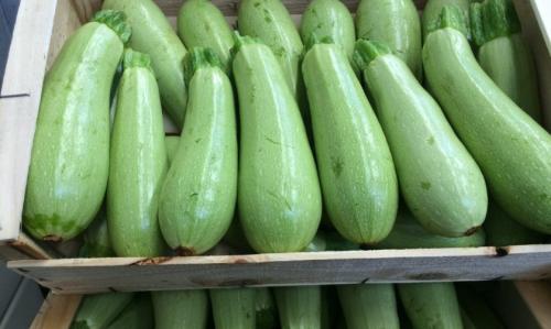 Как Хранить Кабачки без холодильника. Способы хранения