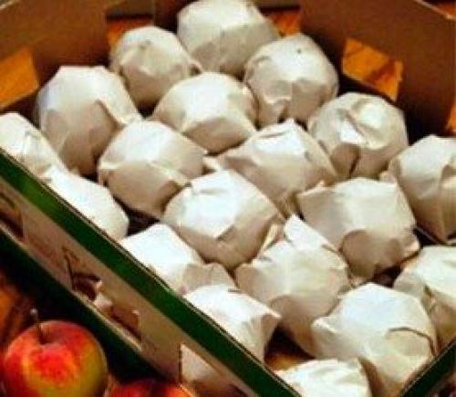 Как сохранить опавшие яблоки. Как сохранить яблоки до весны или даже до следующего урожая свежими – лучшие способы хранения