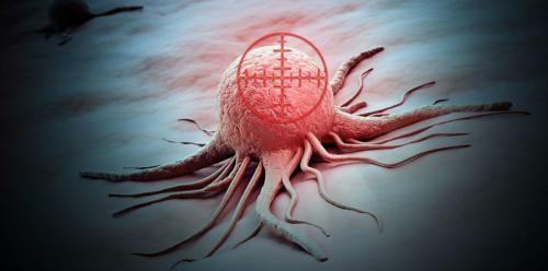 Если человек ест много чеснока. Что произойдёт с организмом человека, если есть чеснок каждый день. Удивительные свойства чеснока.