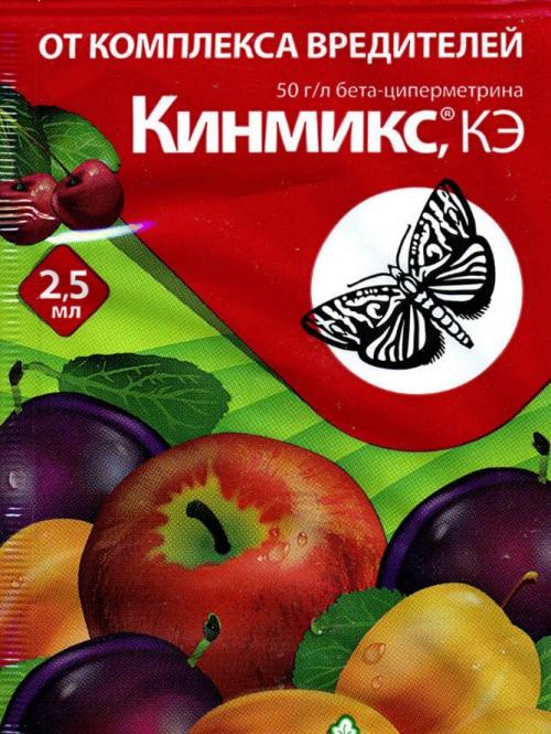 Совка, как с ней бороться. Мор­фо­логия ози­мой сов­ки 11