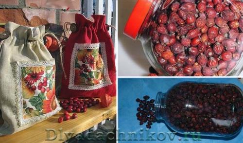 Как чистить шиповник для сушки. Оптимальные условия сушки и хранения шиповника