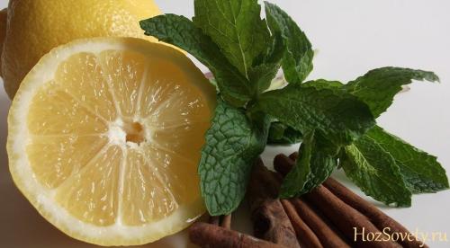 Почему муравьи появляются в квартире. Домашние муравьи и случайные гости 06