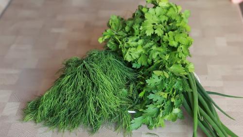 Почему нельзя замораживать петрушку на зиму. 4 способа заморозить зелень на зиму