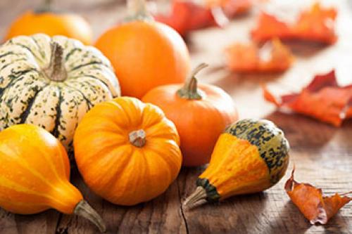 Как Хранить пюре из тыквы. Как сохранить прикорм полезным –, как заморозить тыкву для прикорма