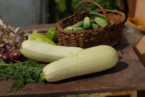 Как Хранить нарезанные Кабачки. Как Хранить Кабачки