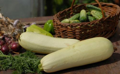Как Хранить Кабачки без холодильника. Способы хранения