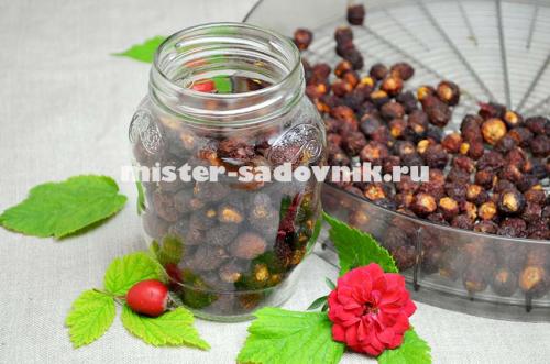 Как правильно сушить боярышник в электросушилке. Сушка боярышника в электросушилке