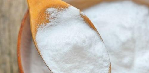 Муравьи в доме зимой. 30 домашних средств для уничтожения муравьев в квартире и на участке