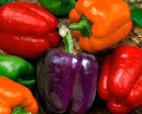 Как заготовить перец на зиму для фаршировки. Заготовка перца на зиму для фарширования — проверенные рецепты