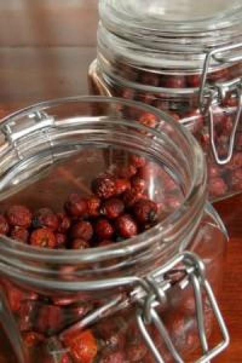 Как высушить боярышник в домашних условиях в духовке. Как посушить боярышник в духовке 02 Как высушить боярышник в домашних условиях в духовке. Как посушить боярышник в духовке 02