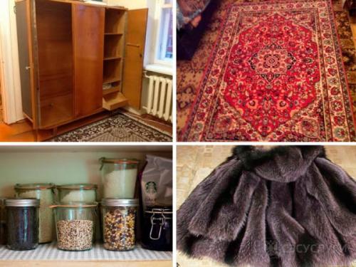 От моли, что помогает. Что представляет собой моль 02 От моли, что помогает. Что представляет собой моль 02