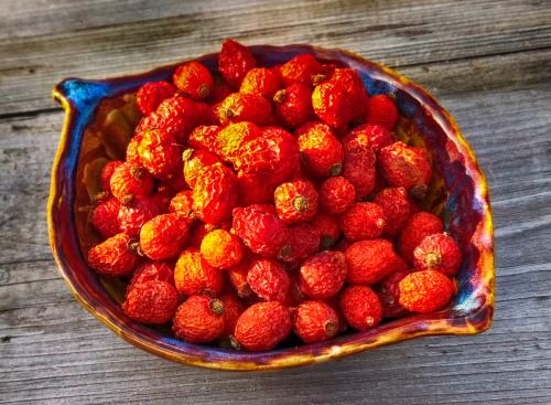 Шиповник заплесневел. Учимся заваривать Шиповник правильно!