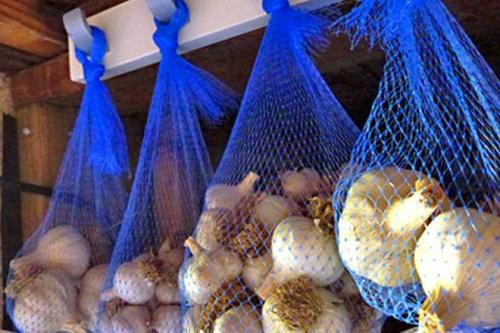 Можно ли хранить чеснок в погребе. В подвале или погребе