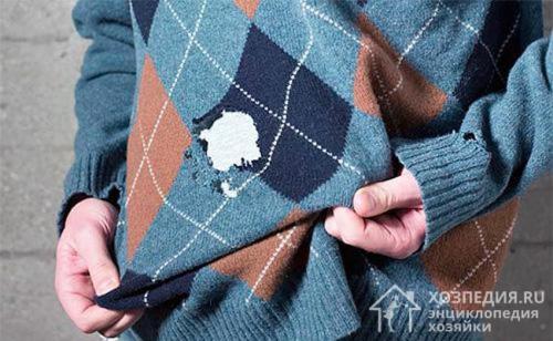 От моли, что помогает. Что представляет собой моль