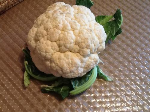 Цветная капуста запеченная в духовке с яйцом и молоком. Цветная капуста в духовке со сметаной под сырной корочкой – просто тает во рту