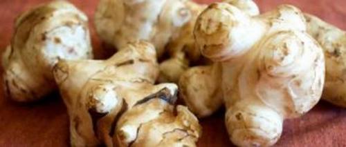 Хранение кабачков в домашних условиях на зиму. Выбор овоща и подготовка к хранению