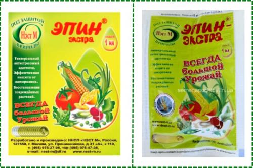 Подкормка рассады перца народными средствами. Чем подкормить рассаду помидоров и перцев: народные средства и удобрения