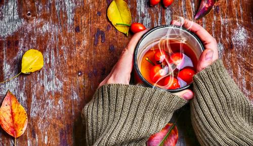 Шиповник заплесневел. Учимся заваривать Шиповник правильно!