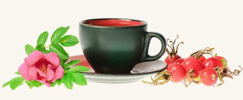 Как хранить отвар шиповника. Как заваривать шиповник, чтобы сохранить все витамины