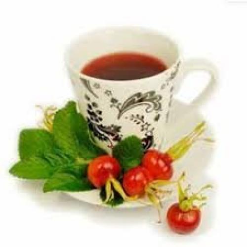 Как хранить отвар шиповника. Как заваривать шиповник, чтобы сохранить все витамины