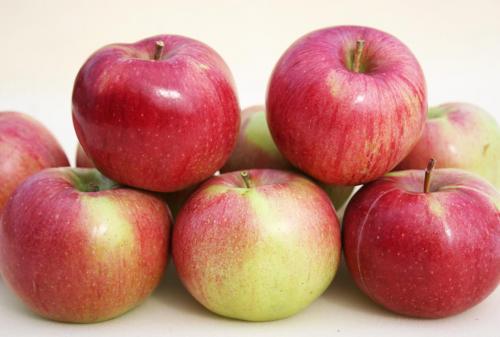 Как посушить яблоки в газовой духовке. Как подготовить плоды к сушке
