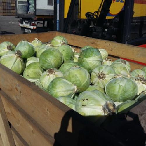 Как хранить капусту в подвале на зиму. Места и способы 03 Как хранить капусту в подвале на зиму. Места и способы 03