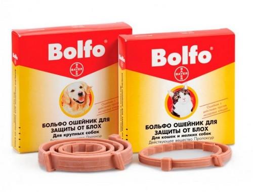 Ошейник от блох для котов инструкция. Какой ошейник лучше выбрать