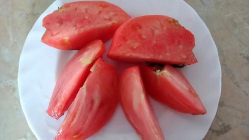 Томат юсуповский. Мои любимые сорта томатов.