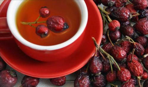 Как хранить шиповник в морозилке. Хранение сушеного шиповника