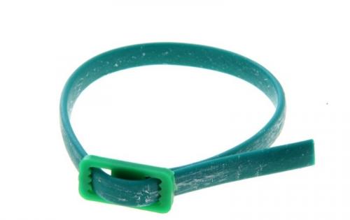 Ошейник от блох для домашней кошке. Принцип действия противоблошиных ошейников