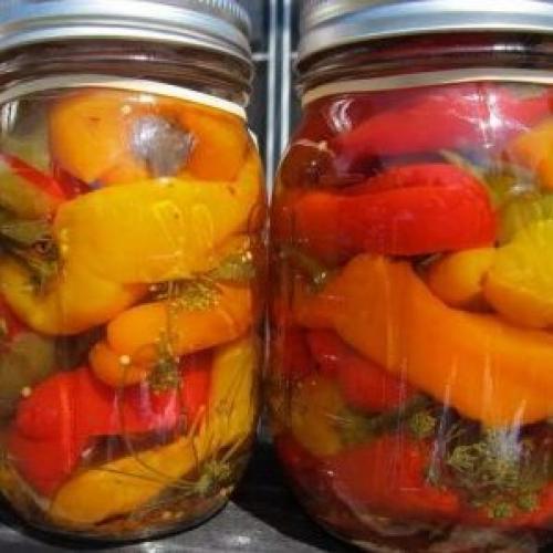 Перец соленый под капроновой крышкой. Оригинальные заготовки своими руками: как солить болгарский перец на зиму целиком быстро и вкусно