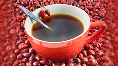 Шиповник заплесневел. Учимся заваривать Шиповник правильно!