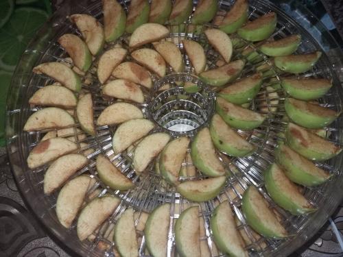 Как сушить яблоки в домашних условиях на солнце. Как легко сушить яблоки на зиму