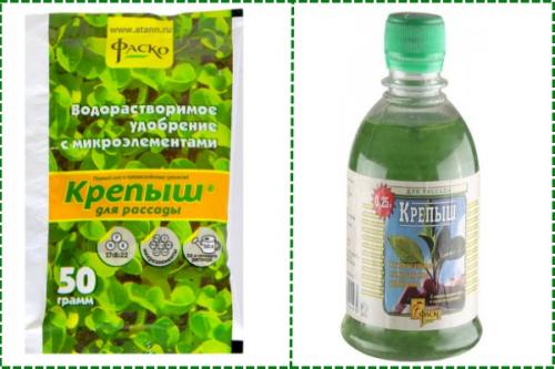 Подкормка рассады перца народными средствами. Чем подкормить рассаду помидоров и перцев: народные средства и удобрения