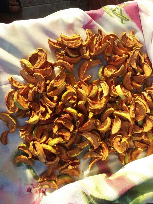 Как сушить яблоки в домашних условиях на солнце. Как легко сушить яблоки на зиму