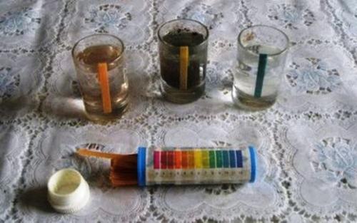 Сорта картофеля для суглинка. Какая почва нужна картофелю?