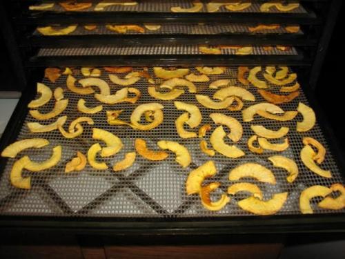 Как сушить яблоки в домашних условиях в электрической духовке. Учимся сушить яблоки в домашних условиях