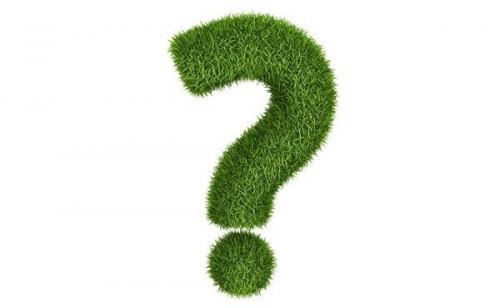 Как понять, что кабачок испортился. Портятся кабачки еще до зрелости. В чем причина?