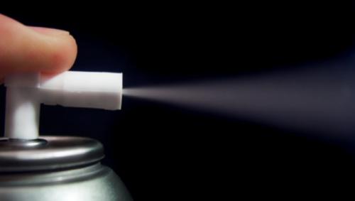 Как в квартире появляются клопы. Меры профилактики