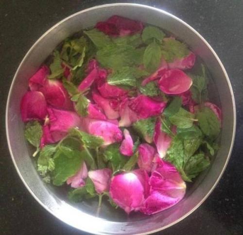 Как в духовке высушить шиповник. Как сушить шиповник в духовке? 06