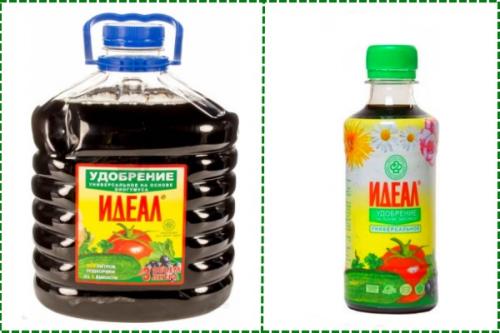 Подкормка рассады перца народными средствами. Чем подкормить рассаду помидоров и перцев: народные средства и удобрения