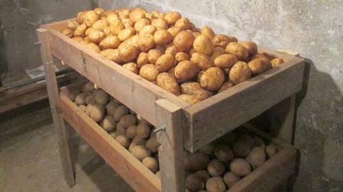 Можно ли хранить картошку в пластиковых ящиках. Где можно хранить картофель