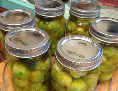 Брюссельская капуста на зиму. Пошаговые рецепты заготовок брюссельской капусты на зиму