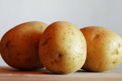 Картофель Сантана: основная характеристика