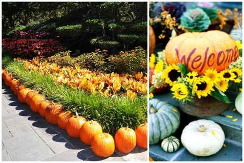 Поделка чайник из тыквы. Поделки из тыквы своими руками- идеи и мастер классы