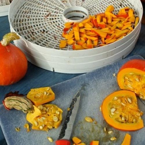 Как высушить тыкву для еды. Полезные снеки в домашних условиях: как сушить тыкву в электросушилке правильно и с чем её можно съесть
