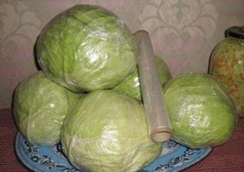 Как хранить раннюю капусту. Как правильно хранить капусту