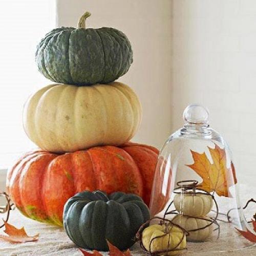 Как высушить тыкву для еды. Полезные снеки в домашних условиях: как сушить тыкву в электросушилке правильно и с чем её можно съесть