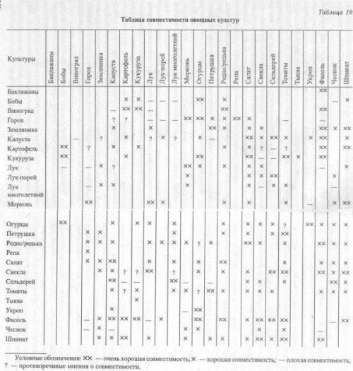 Клубника в теплице с огурцами. Какие культуры можно выращивать вместе?
