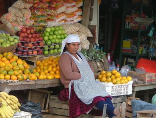 Откуда появляются тараканы в квартире. Поставщики тараканов